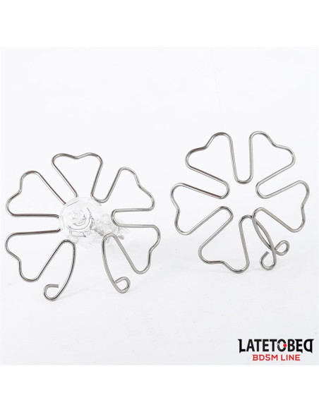 Latetobed Flower — elegancka ozdoba na sutki