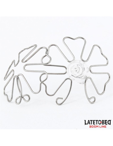 Latetobed Flower — elegancka ozdoba na sutki