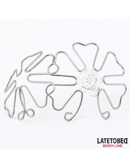 Latetobed Flower — elegancka ozdoba na sutki