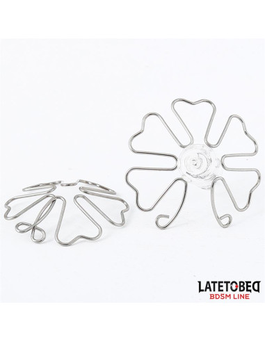 Latetobed Flower — elegancka ozdoba na sutki