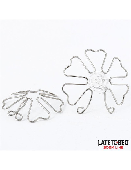 Latetobed Flower — elegancka ozdoba na sutki