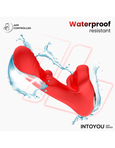 Franky Intoyou — wibrator obrotowy z aplikacją ActiveJoy